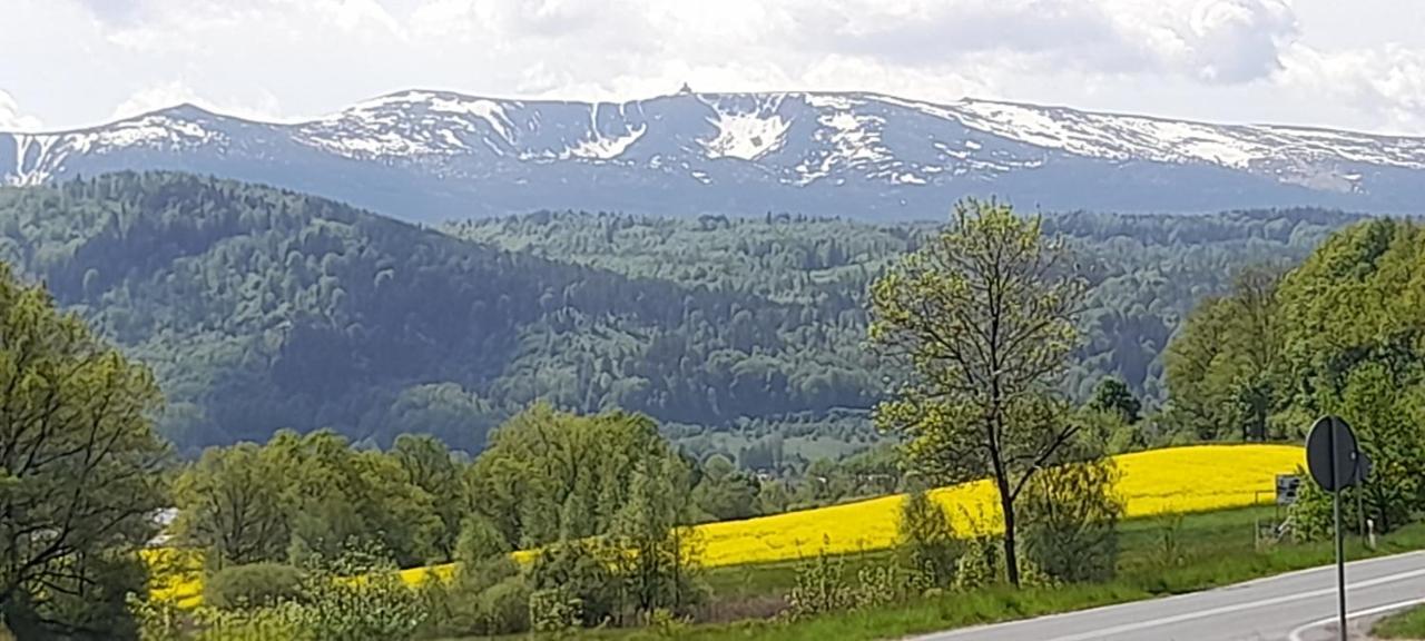 Skyview Apartment Mountain Views Jelenia Góra Eksteriør billede